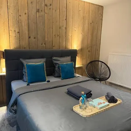 Lejlighed Grote Kamer In Centrum *