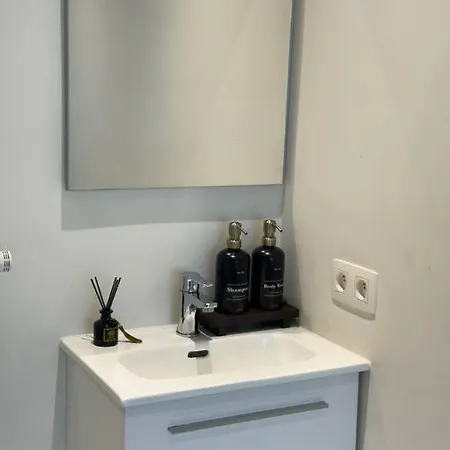 Grote Kamer In Centrum Lejlighed
