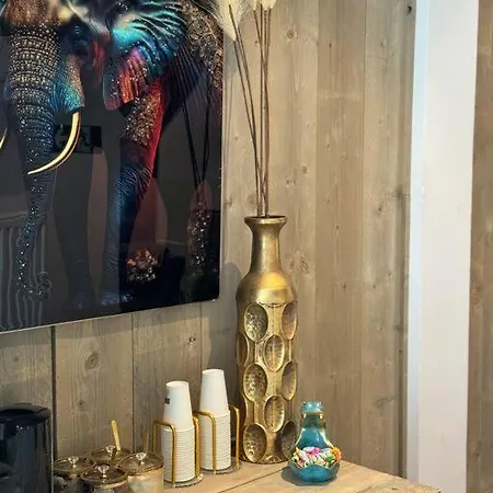 Grote Kamer In Centrum *